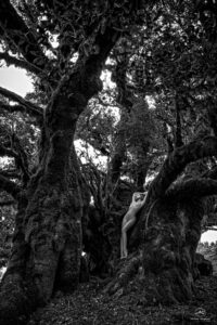 matilde a01.jpg Portfolio Nude Art Matilde Fantini